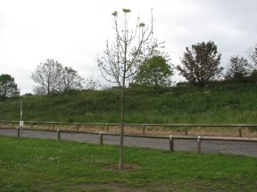 Greenwich Meridian Marker; England; Lincolnshire; Cleethorpes